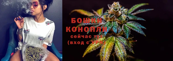 твердый Бородино