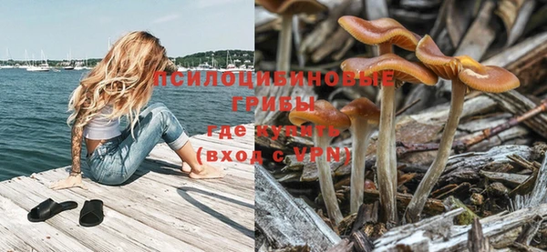MESCALINE Верея