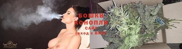 ПСИЛОЦИБИНОВЫЕ ГРИБЫ Верхнеуральск
