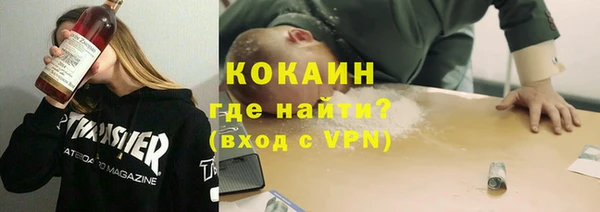 твердый Бородино