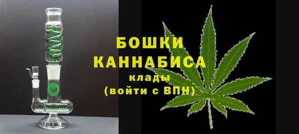 твердый Бородино