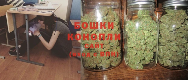 ПСИЛОЦИБИНОВЫЕ ГРИБЫ Верхнеуральск
